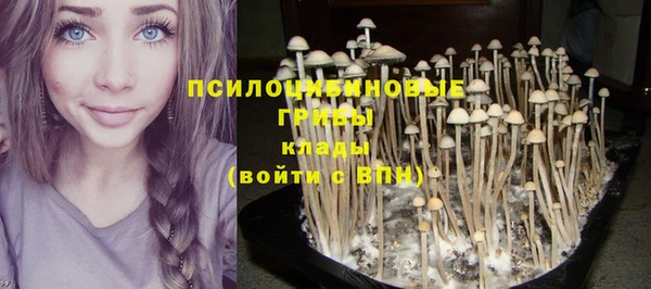 амф Алзамай