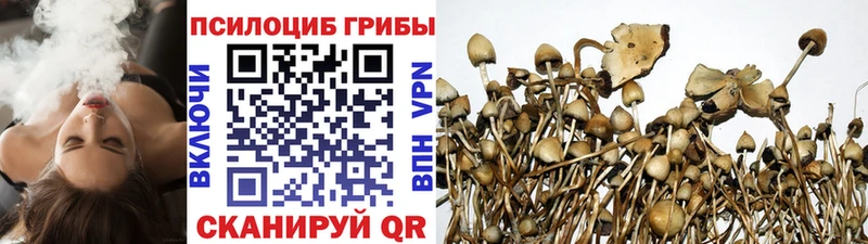 площадка телеграм  Ветлуга  Псилоцибиновые грибы Magic Shrooms  закладка 